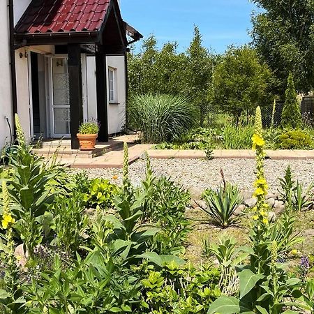 Pokoje Goscinne Neptunia Rusinowo  Ngoại thất bức ảnh