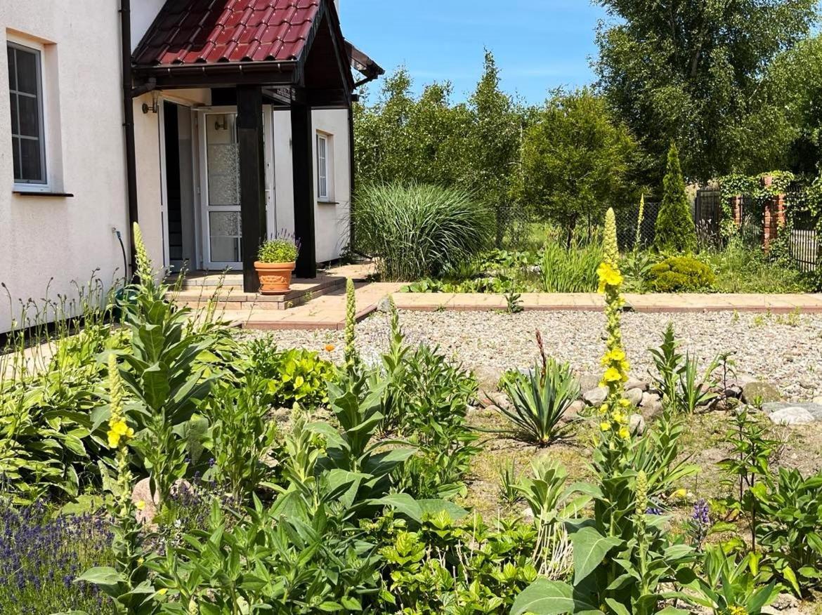 Pokoje Goscinne Neptunia Rusinowo  Ngoại thất bức ảnh